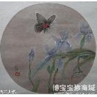 蝶 工笔花卉 詹水秧作品 类别: 工笔花卉